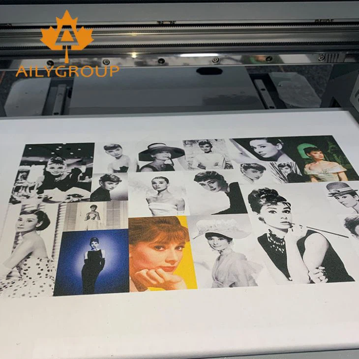 4030 dtg printer (13)